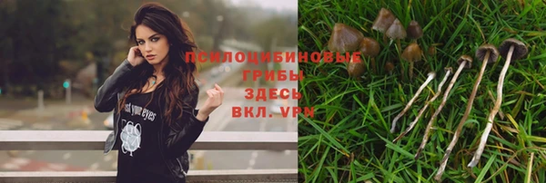 стафф Волосово