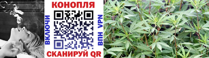 МАРИХУАНА гибрид  shop официальный сайт  Лодейное Поле  где купить наркоту 