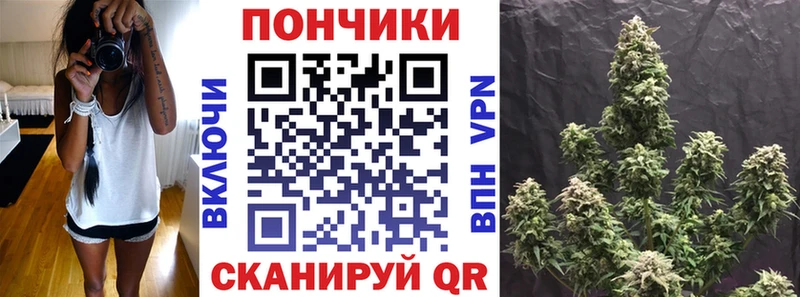 Бошки Шишки сатива Лодейное Поле